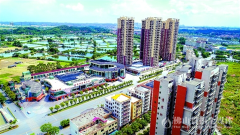 三水白坭镇五大课题推动蓝图落地八大领域开启小城大时代