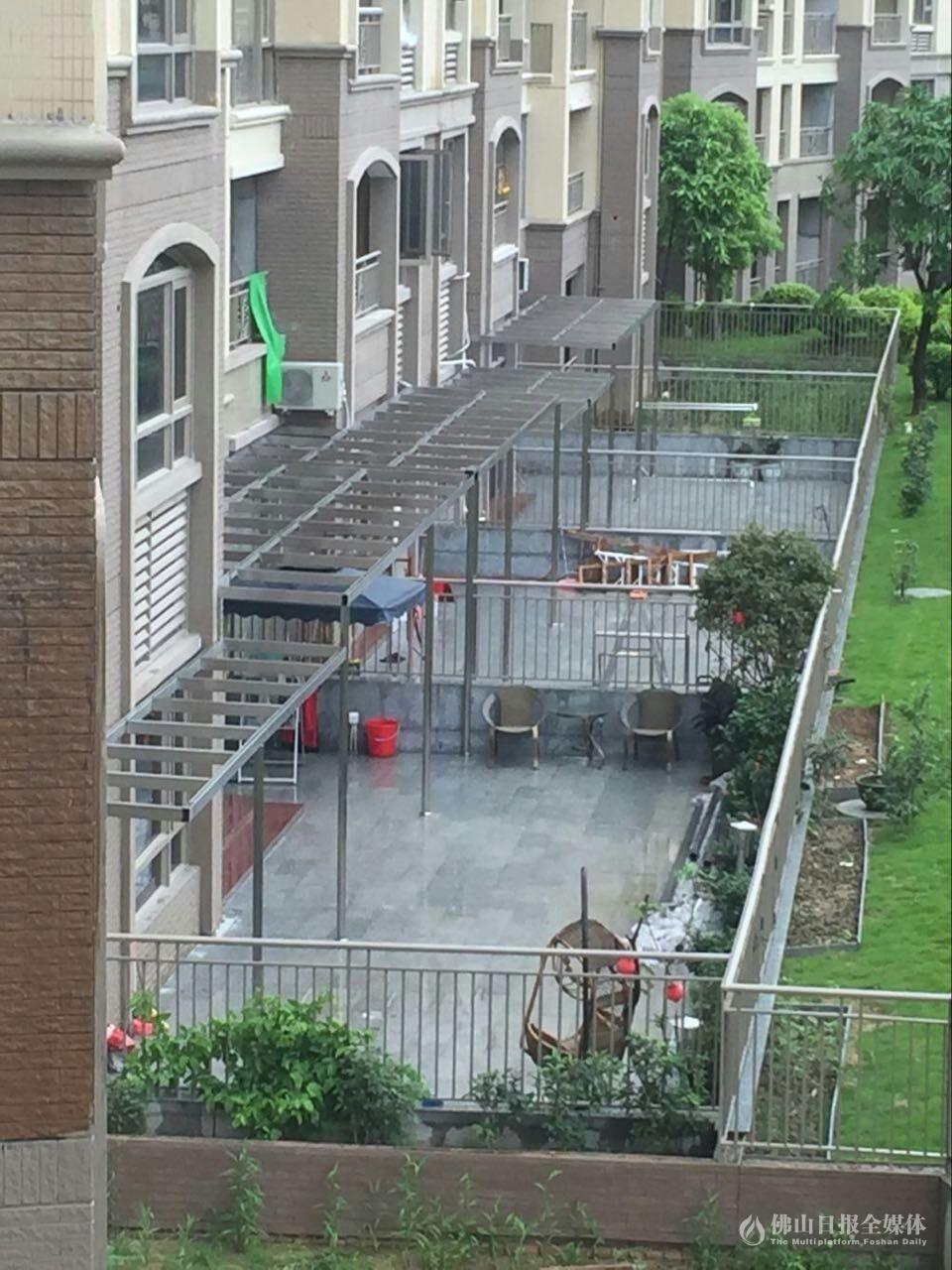 禅城一业主搭棚改建绿化带为自家