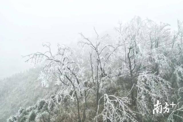 广东迎来入冬首场雪!"中国长寿之乡"连州下雪啦!