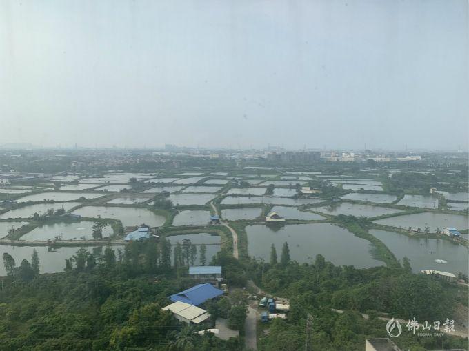 顺德杏坛杏韵湖片区将大变样打造湾区岭南水乡文化坐标