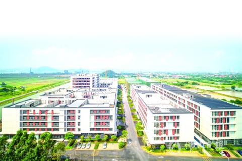 站在五年新起点上的中国镇域高质量发展500强镇：如何再造一个经济新白坭？