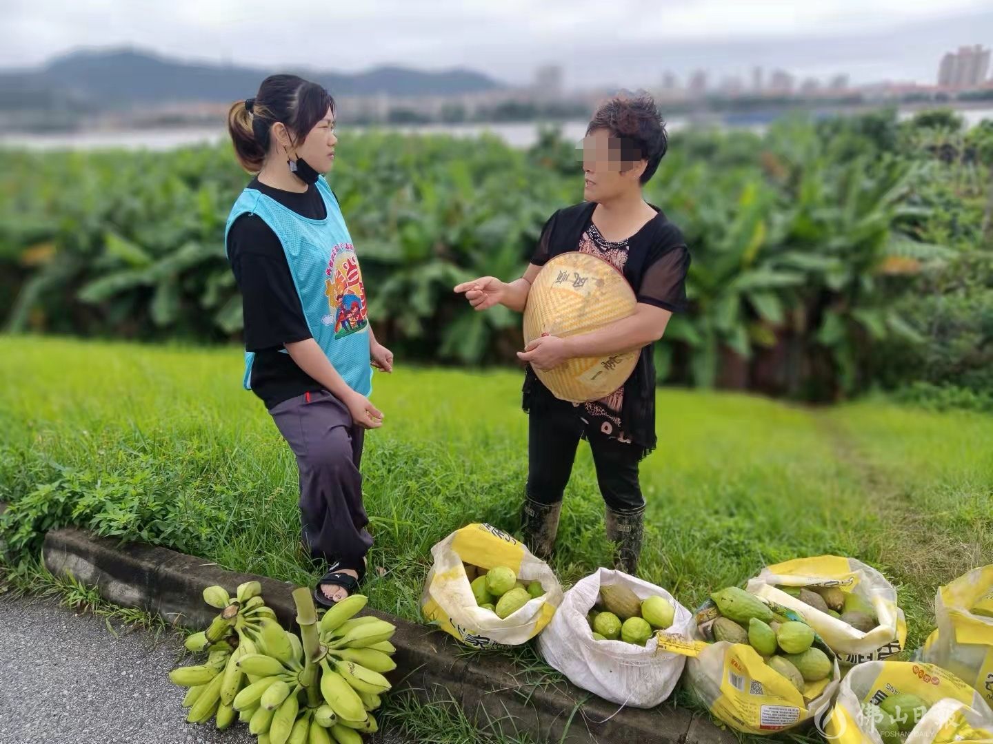 市妇联：妇女志愿接力，400斤滞销柠檬18小时售罄