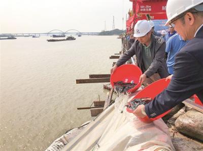 高明舉行區內首次工程公益生態補償增殖放流活動