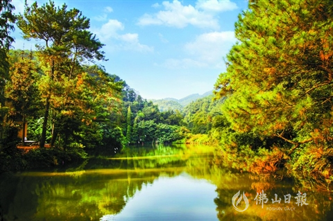 高明云勇林场旅游景点图片