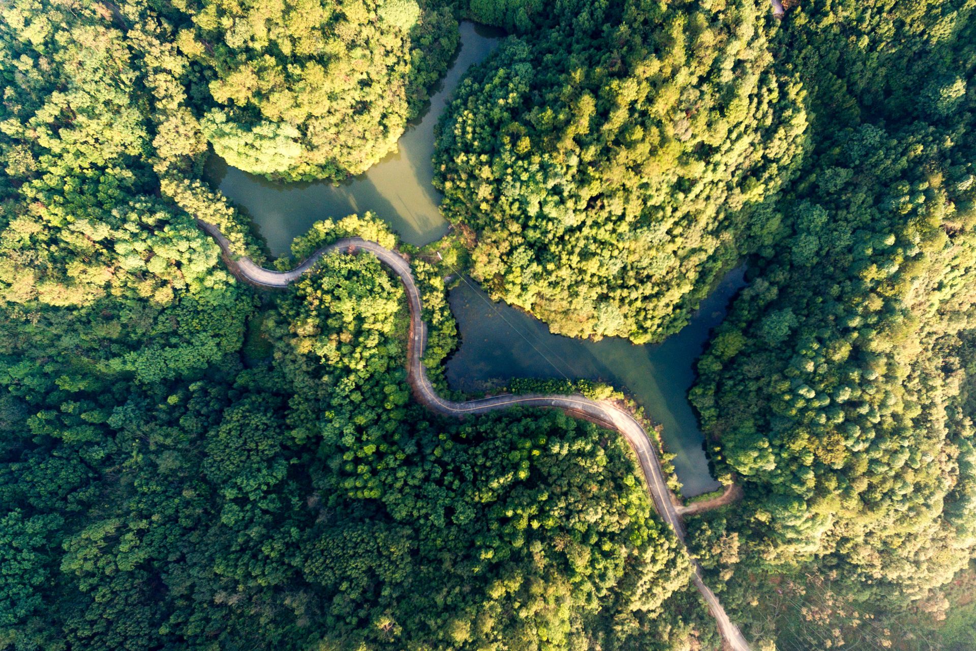 云勇森林公园的风景图片