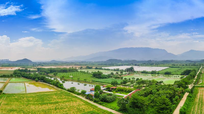 粤港澳大湾区现代都市农业综合示范基地无人化农场投用