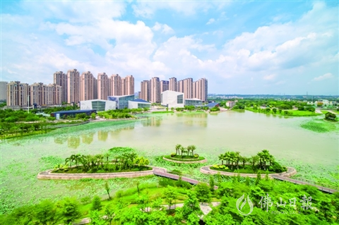 三水区云东海街道强实力增魅力打造城市新标杆