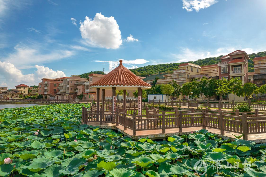 高明荷城举行第二季度村规民约积分管理颁奖仪式