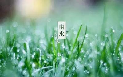 佛山未來10天雨霧頻現(xiàn) 或有兩輪中雨降水過程