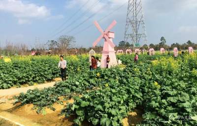 看表演泡溫泉嘗美食任你選  就地過(guò)年催熱高明周邊游