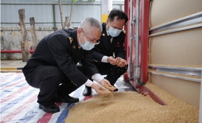 佛山三水港首次进口粮食  验放300多吨小麦