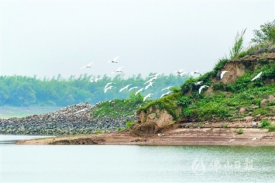 花開時節(jié)百鳥鳴