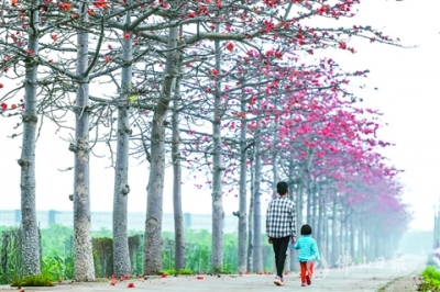 陽春大塘 景美如畫