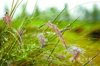 高明未來(lái)十天進(jìn)入降雨模式  市民注意做好防御