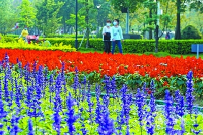 禪城：花境百花開 美到人心醉