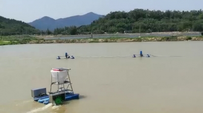 高明滄中學子發(fā)明喂魚機 斬獲省科技創(chuàng)新大賽二等獎