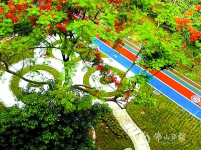 南海桂城中學(xué)：建成七彩徑 校園添亮色