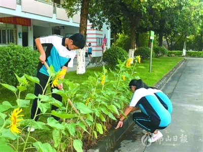 三水中學附屬初中師生同種向日葵 陽光心態(tài)迎中考
