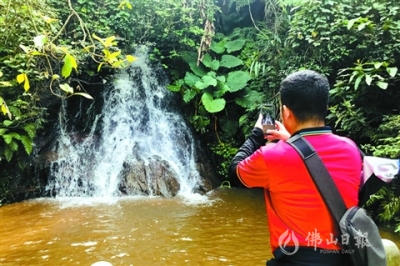 高明區(qū)繽紛林海旅游線路獲省級(jí)認(rèn)證 來(lái)“森動(dòng)之旅”吧！