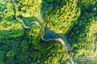 佛山4條森林旅游特色線路獲省級(jí)認(rèn)證  來(lái)，一起打卡！