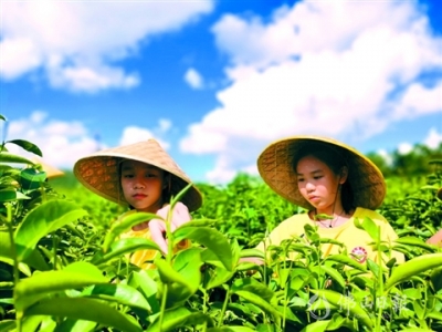 走進天地大課堂  佛山學(xué)校暑期研學(xué)之旅豐富多彩