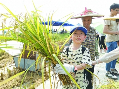 三水樂平工業(yè)游品牌效應(yīng)初顯，特色研學團暑期走俏
