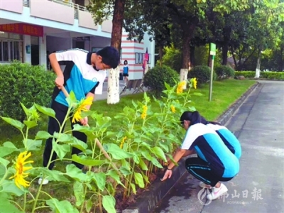 佛山規(guī)定中小學(xué)每周至少1節(jié)勞動(dòng)教育課  如何上好這門必修課？