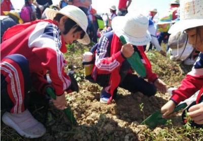 本學期起，佛山中小學勞動教育課每周至少1課時