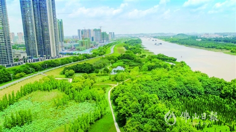 走進(jìn)“王借崗-綠島湖”千畝公園  盡享高顏值生態(tài)美景