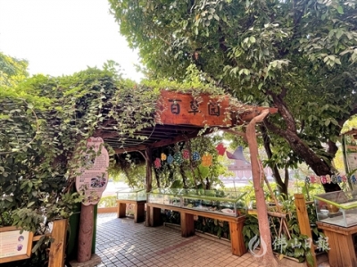打造校園綠野仙蹤 禪城區(qū)東鄱小學(xué)獲評廣東省環(huán)境教育基地