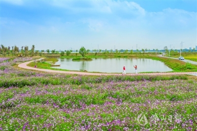 走，踏青去！清明假期天氣晴好，淼城處處皆美景