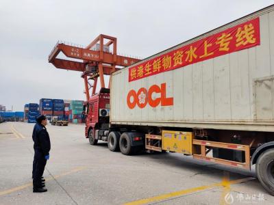 南海九江-香港屯門，廣東開辟供港生鮮物資水運(yùn)新通道