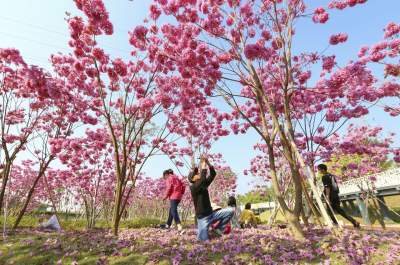 陽光“返崗” 元宵宜賞月