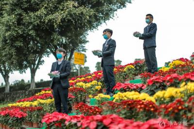 3月23日起全市祭掃活動暫停