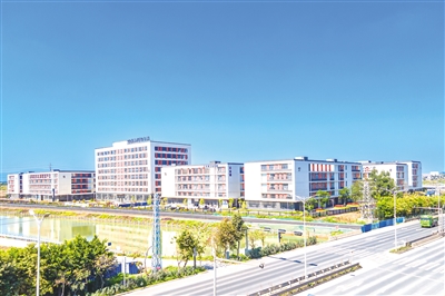 三水區(qū)委副書記、白坭鎮(zhèn)黨委書記洪普清：干字當(dāng)頭落實為要 全力挺進佛北新戰(zhàn)場