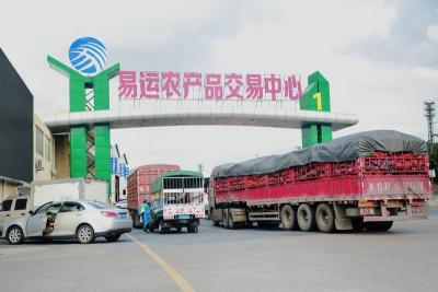 禪城易運(yùn)農(nóng)產(chǎn)品交易中心重啟 