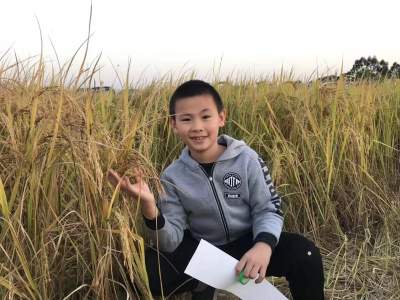 學子拾金不昧 酒店致信表揚