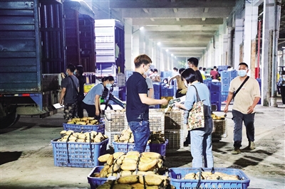 保障蔬菜供應(yīng)！禪城啟用東貨場作為臨時集散點(diǎn)