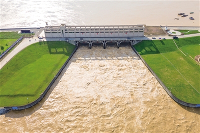 佛山各界凝聚起防汛抗洪的磅礴合力