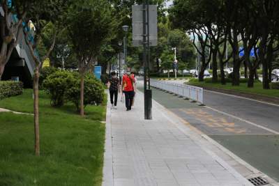 禪城：坑洼路變坦途 人行道換新裝