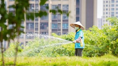 佛山連續(xù)5天最高氣溫≥38℃