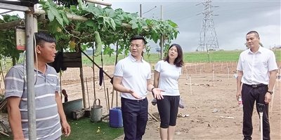 中國太保產(chǎn)險佛山分公司： 賠款超1000萬元為農(nóng)戶遮風(fēng)擋雨