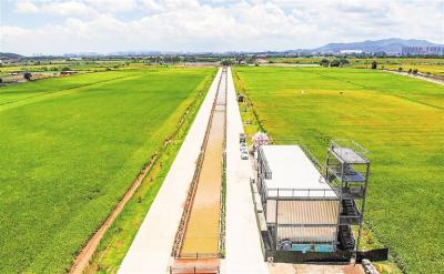 高明區(qū)富硒絲苗米產(chǎn)業(yè)園：農(nóng)旅融合升級 延長產(chǎn)業(yè)鏈條