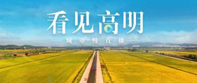 “山水間·最高明”，城市慢直播“看見(jiàn)高明”上線！