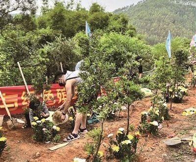 108名佛山市民參加骨灰植樹公益活動
