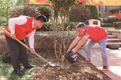 龍江鎮(zhèn)文華社區(qū)：黨建引領深化文明城市創(chuàng)建