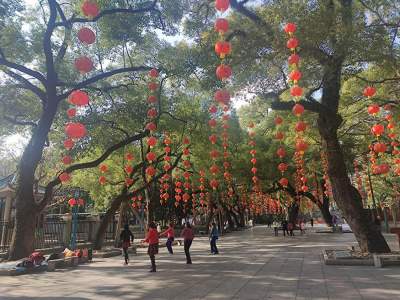 佛山公園年味濃濃 游客數(shù)量大增