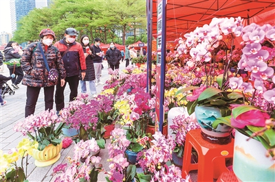 2023最嶺南之佛山過(guò)大年暨文華迎春花市嘉年華·數(shù)字人民幣惠民周啟動(dòng)