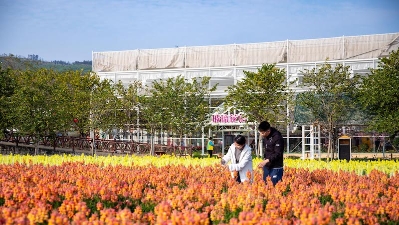 佛山未來(lái)10天“晴”歌高唱