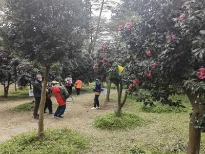 佛山市人大常委會調(diào)研我市融入華南國家植物園建設(shè)體系情況